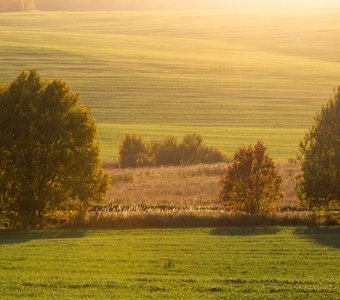 Загорское плоскогорье