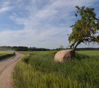 Путь