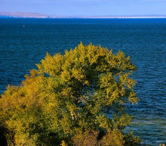 Буйство осени