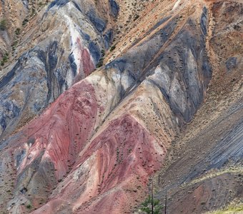 Двое на карнавале