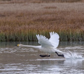Спокойно, Андрей, никакого секрета здесь нет