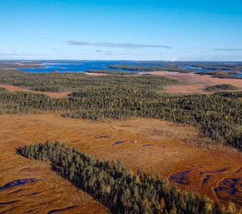 Карельские болота