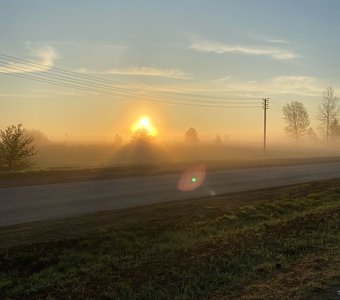 Туманное утро