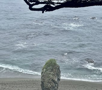 Центр мироздания