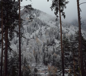 Первый снег в горах Алтая