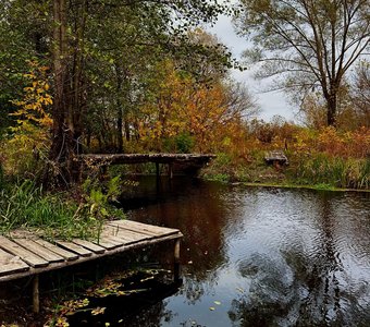 Осенние деньки