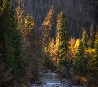 Последний лучик