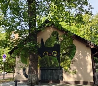 Котофеи Зеленоградска