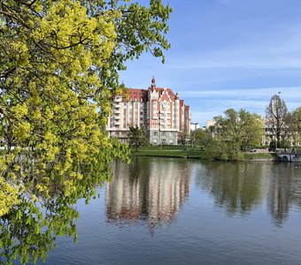 Весна в Калининграде