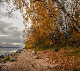 Осень на Волге