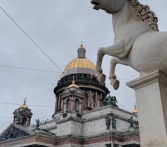 Взгляд на Петербург