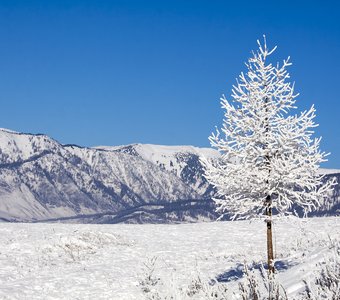 Зима в горах