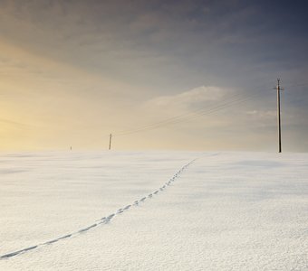 Январский минимализм
