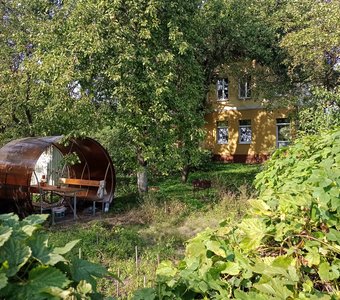 Сочный Зеленоградск