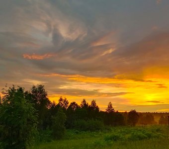 Подмосковные вечера