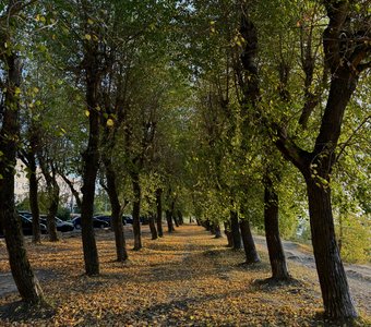 Воспоминания об ушедшем лете