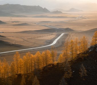 Золото Алтайских дорог