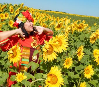 А лето прячется в подсолнухах