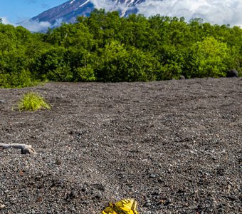Эффект бабочки