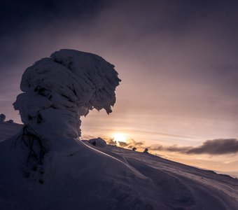 Ледяные скульптуры Волостной горы.