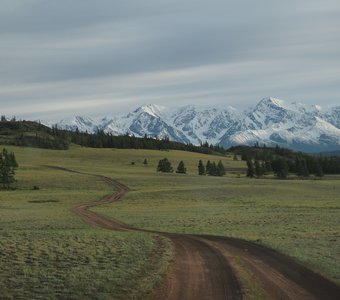 Моя любимая дорога