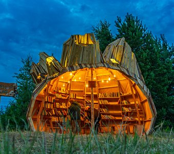 Книжный шкаф на фестивале "Тайбола"