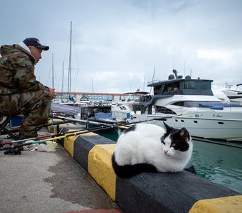 Сочинские рыбаки