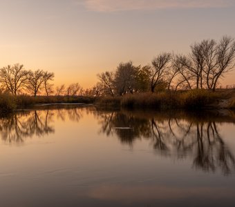 Зеркало природы