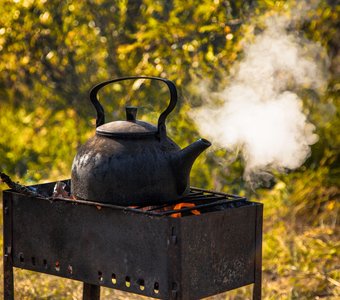 Чай с можжевеловыми шишечками.