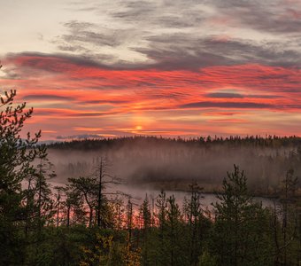 Туманное утро