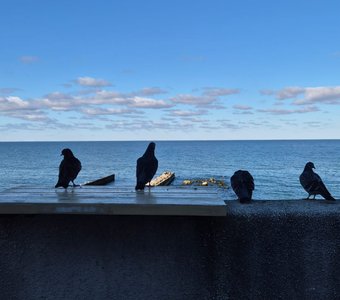 Синие дали...