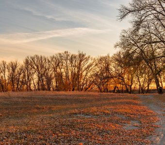 Золотая осень
