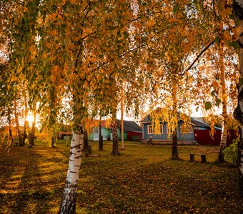 Золотая осень во Владимирской глубинке