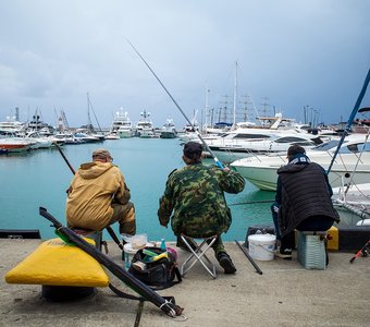 Три рыбака в сочинском порту