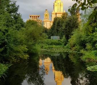 Пруд в ботаническом саду МГУ