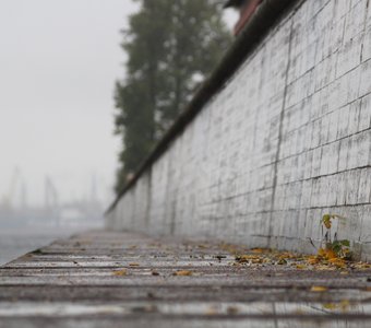 Балтийский туман