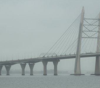 Туман Финского залива