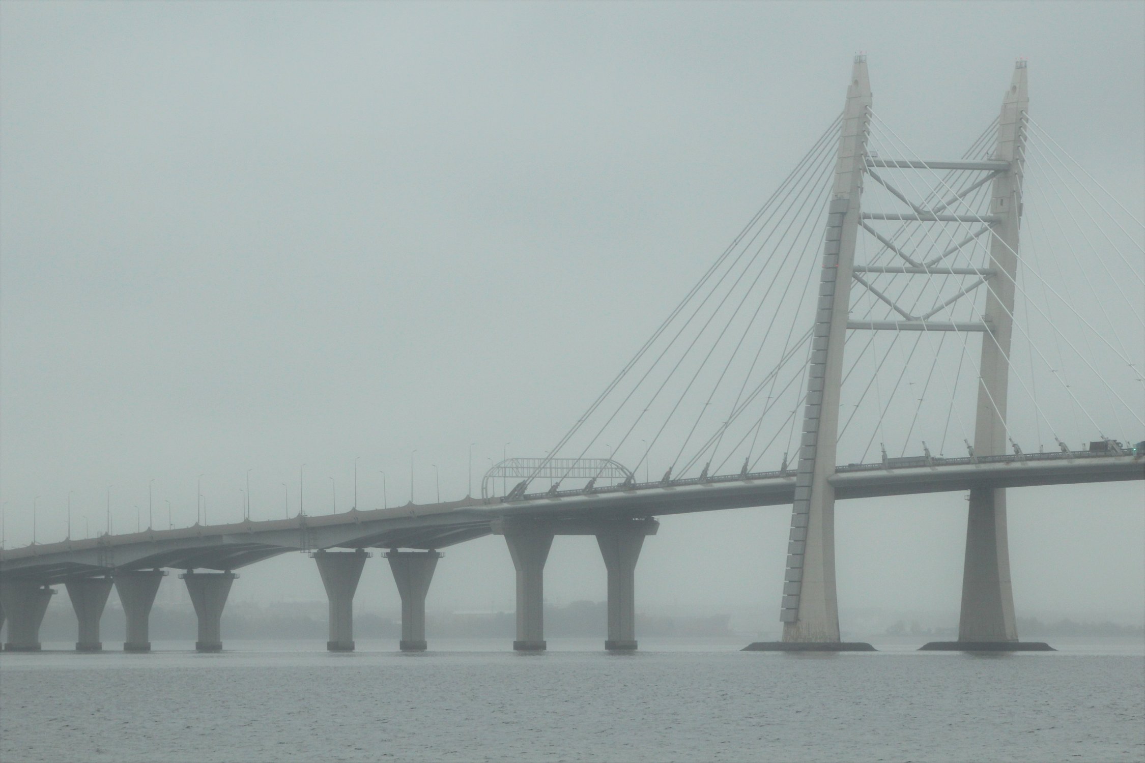 Туман Финского залива