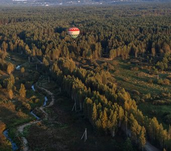 А дорога серою лентою вьется