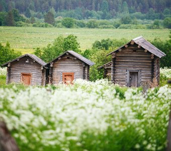 Июньская пастораль