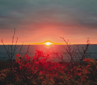 Восход солнца над морем