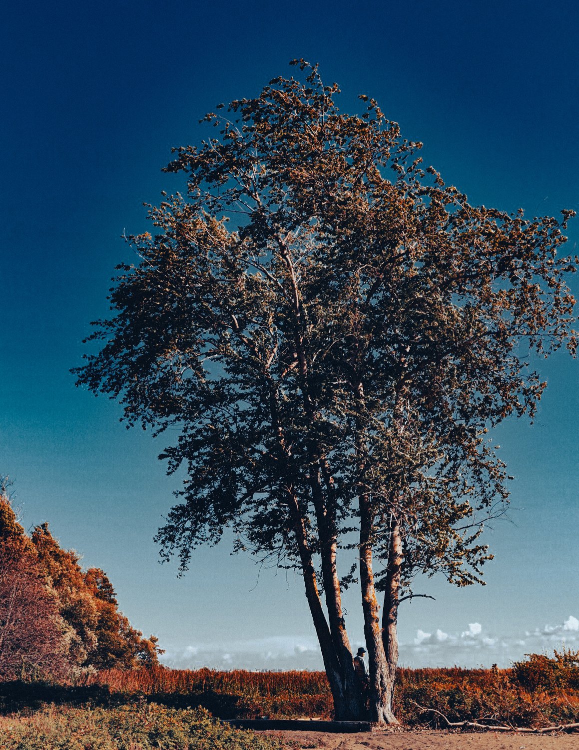 Лето не могло остаться