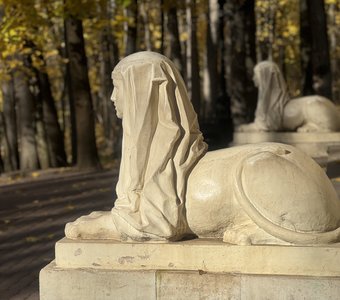 Осень в парке Царицыно