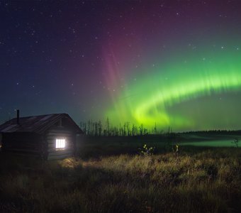 Танец Авроры из окна лесной избы