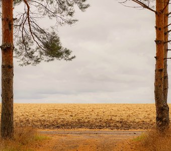 Ворота в осень