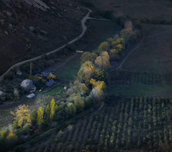 Осенний мотив