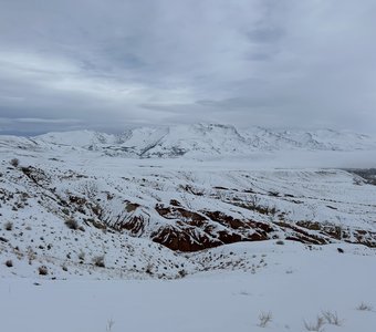 «Алтайский Марс»