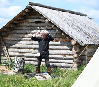 Дружины Неполки