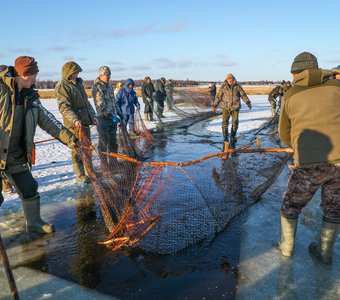 Особенности якутской подледной рыбалки