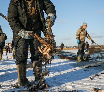 Зимний улов на традиционной якутской подледной рыбалке